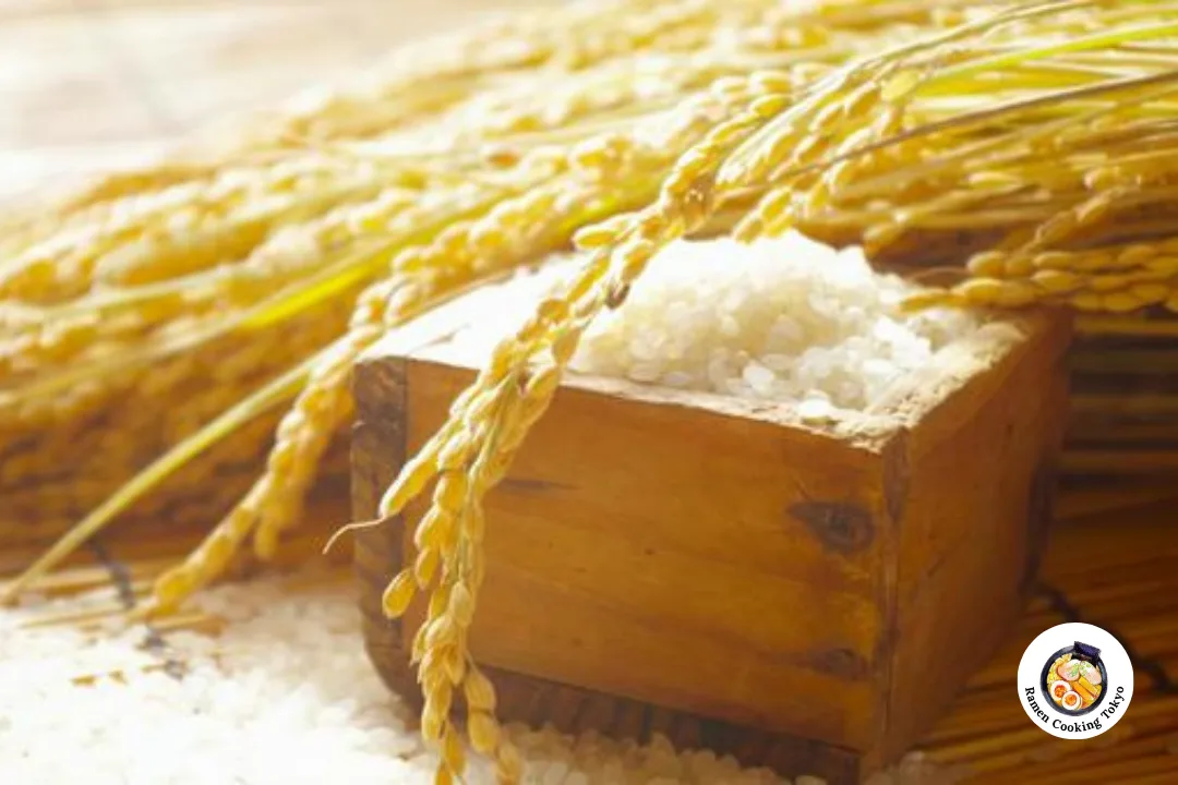 Yamada Nishiki sake rice grains used in premium Japanese sake brewing