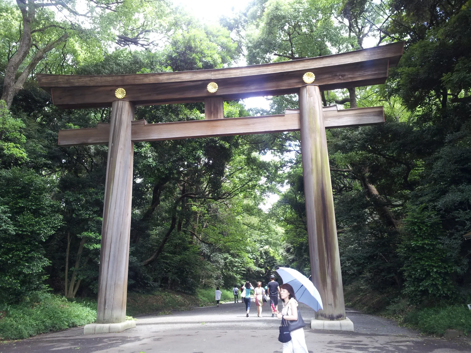 The great wooden torii gate on the forest path to Meiji Jingu in Tokyo