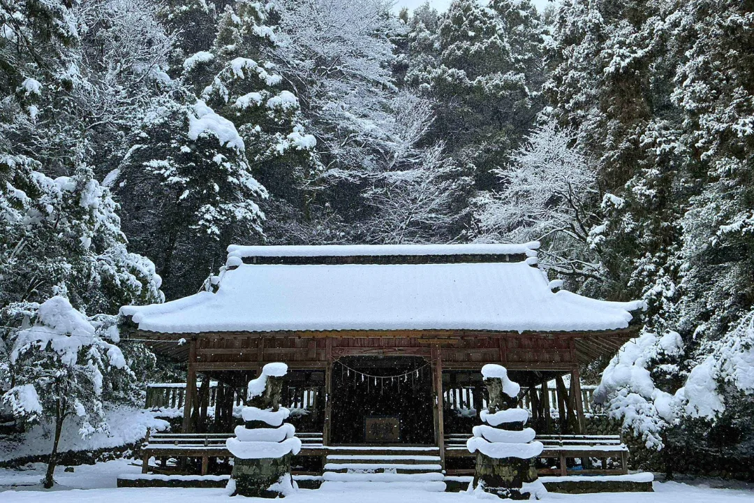 The Shinto priest from Mukaiyama Shrine in Gifu conducting the ceremony