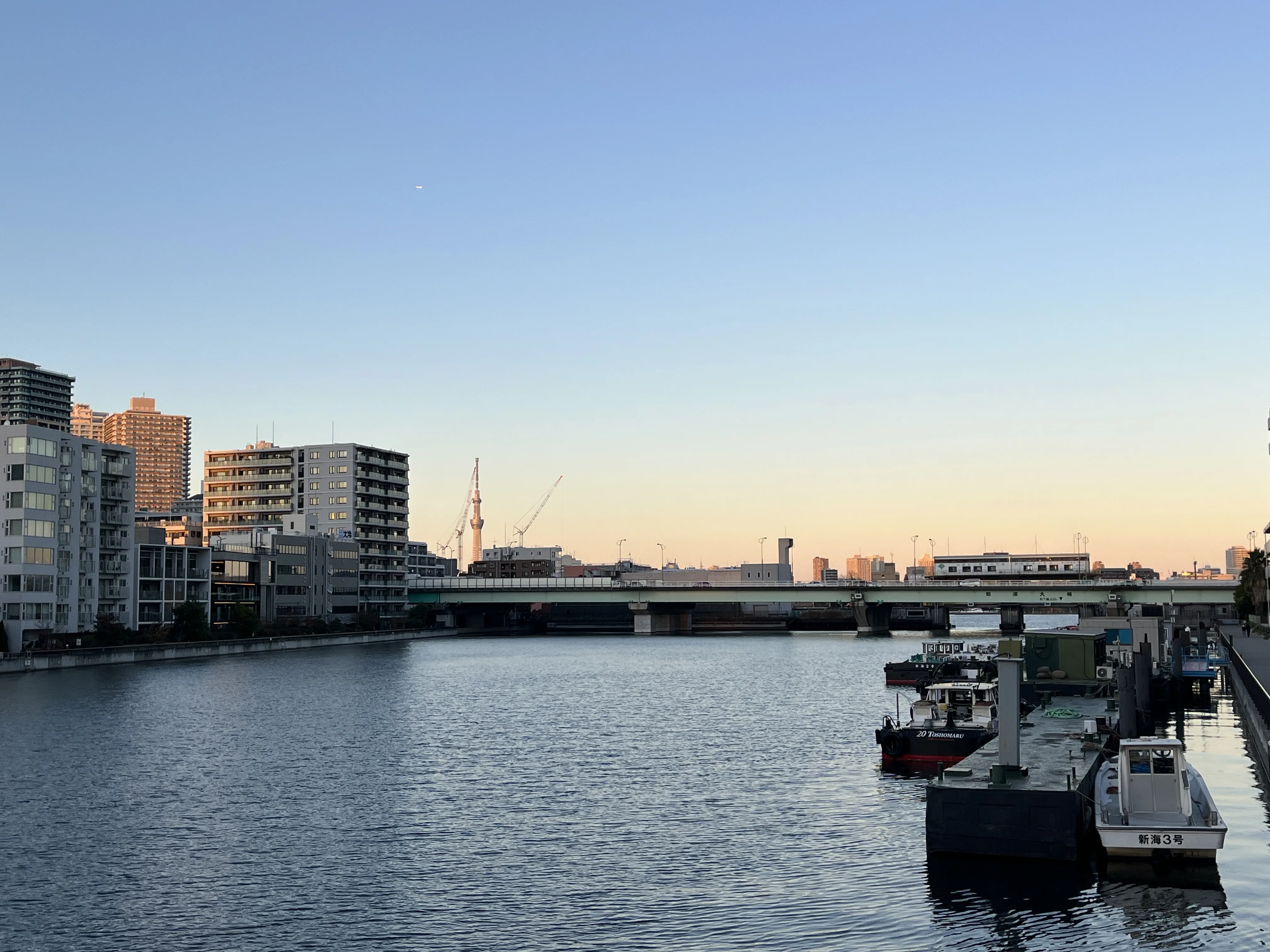 View of Tokyo Skytree from the walking path to teamLab Planets TOKYO