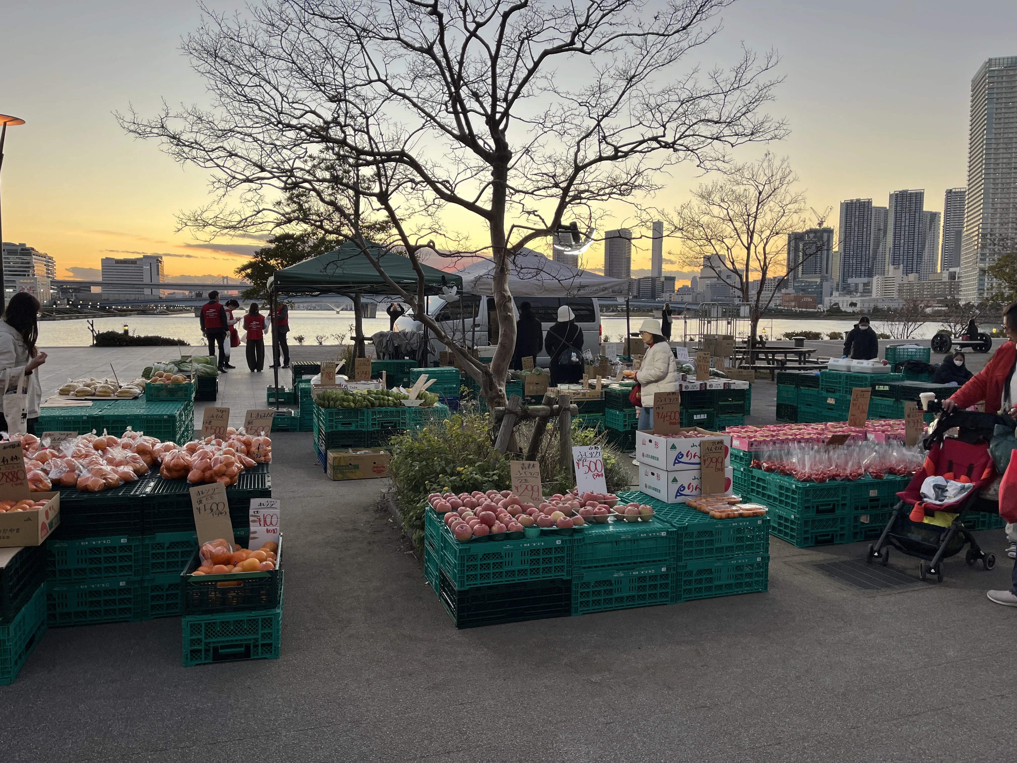 View of Toyosu Market from the park, near teamLab Planets TOKYO