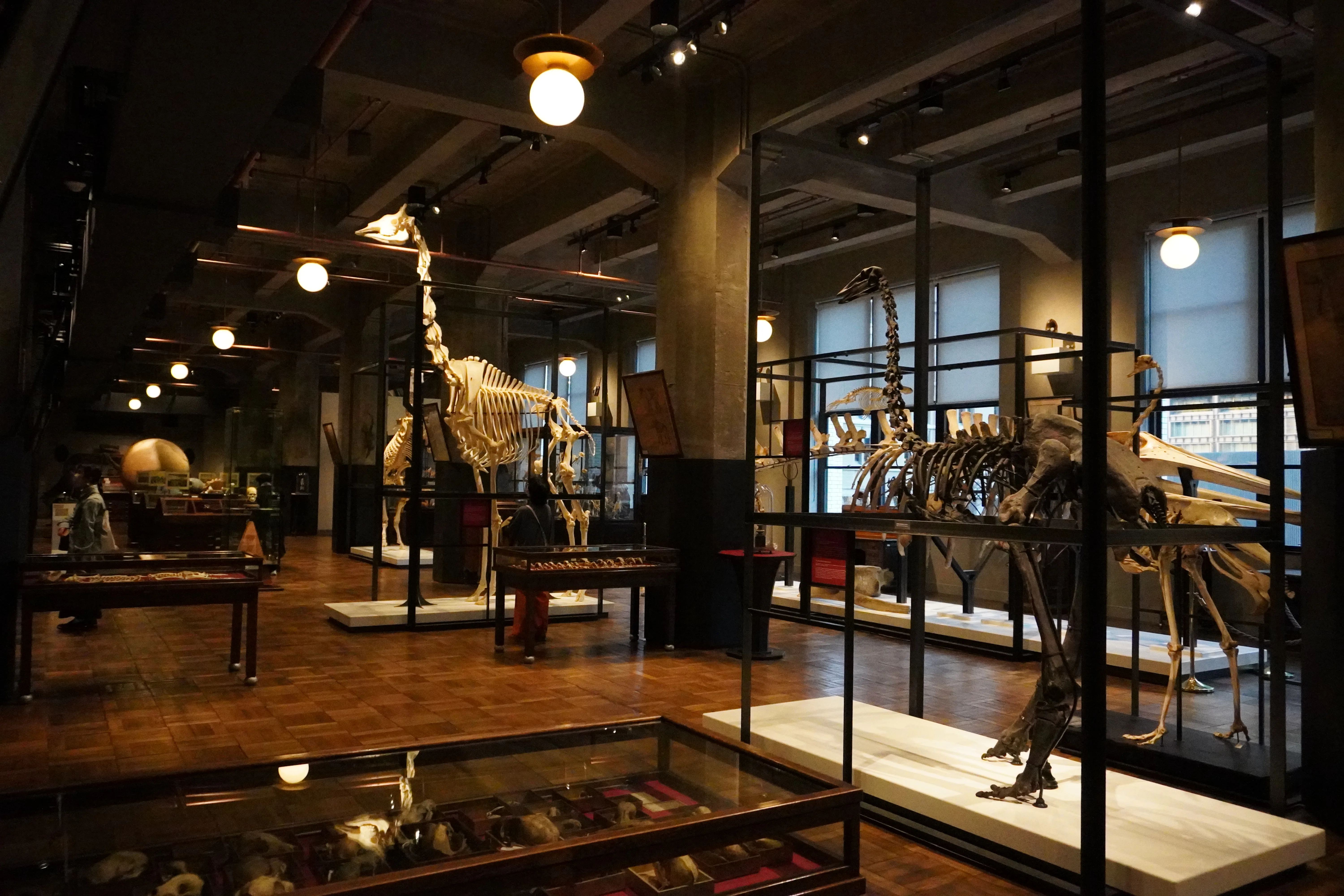 The fascinating Intermediatheque museum interior