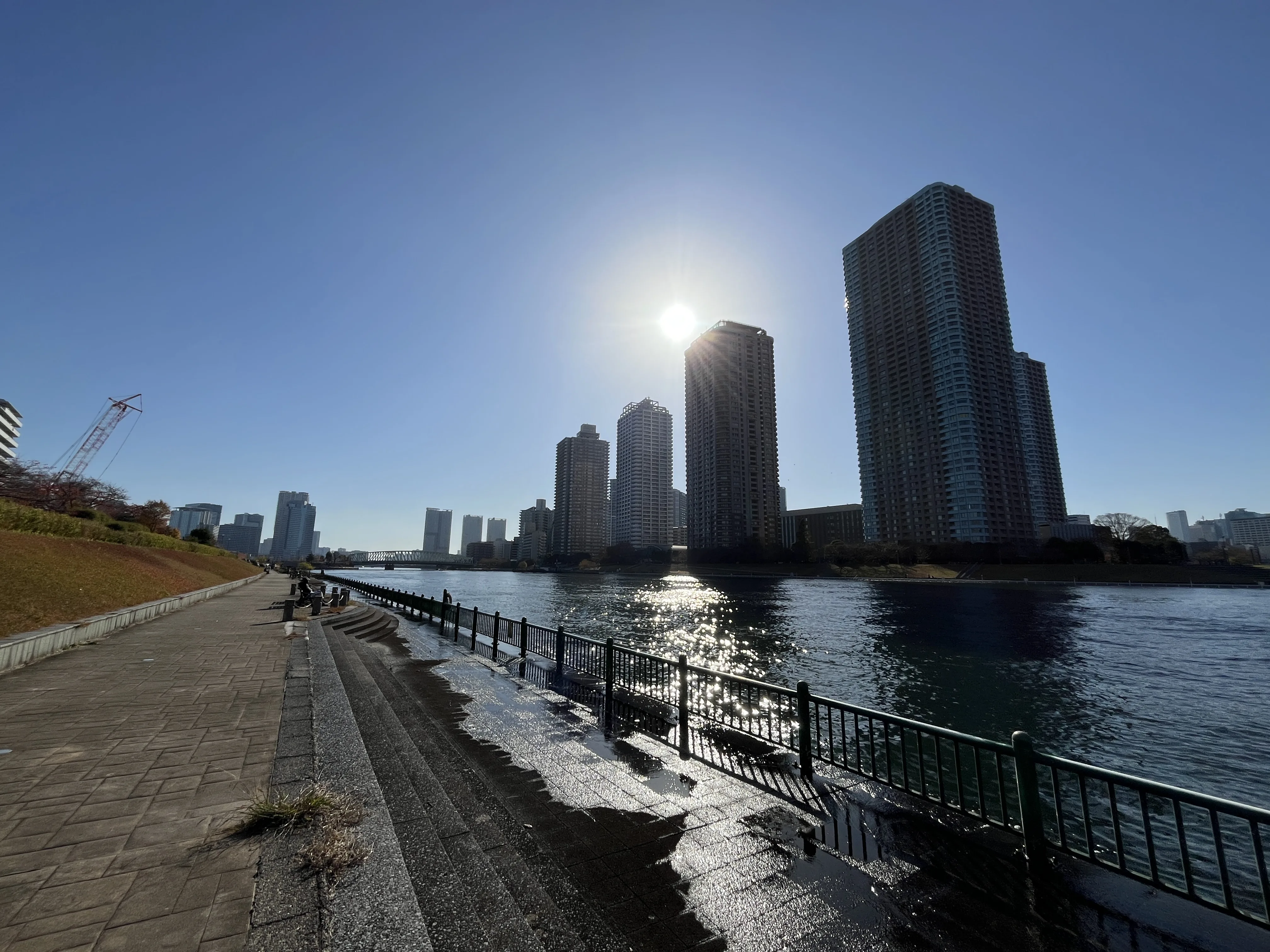 Skyline view from Etchujima Park