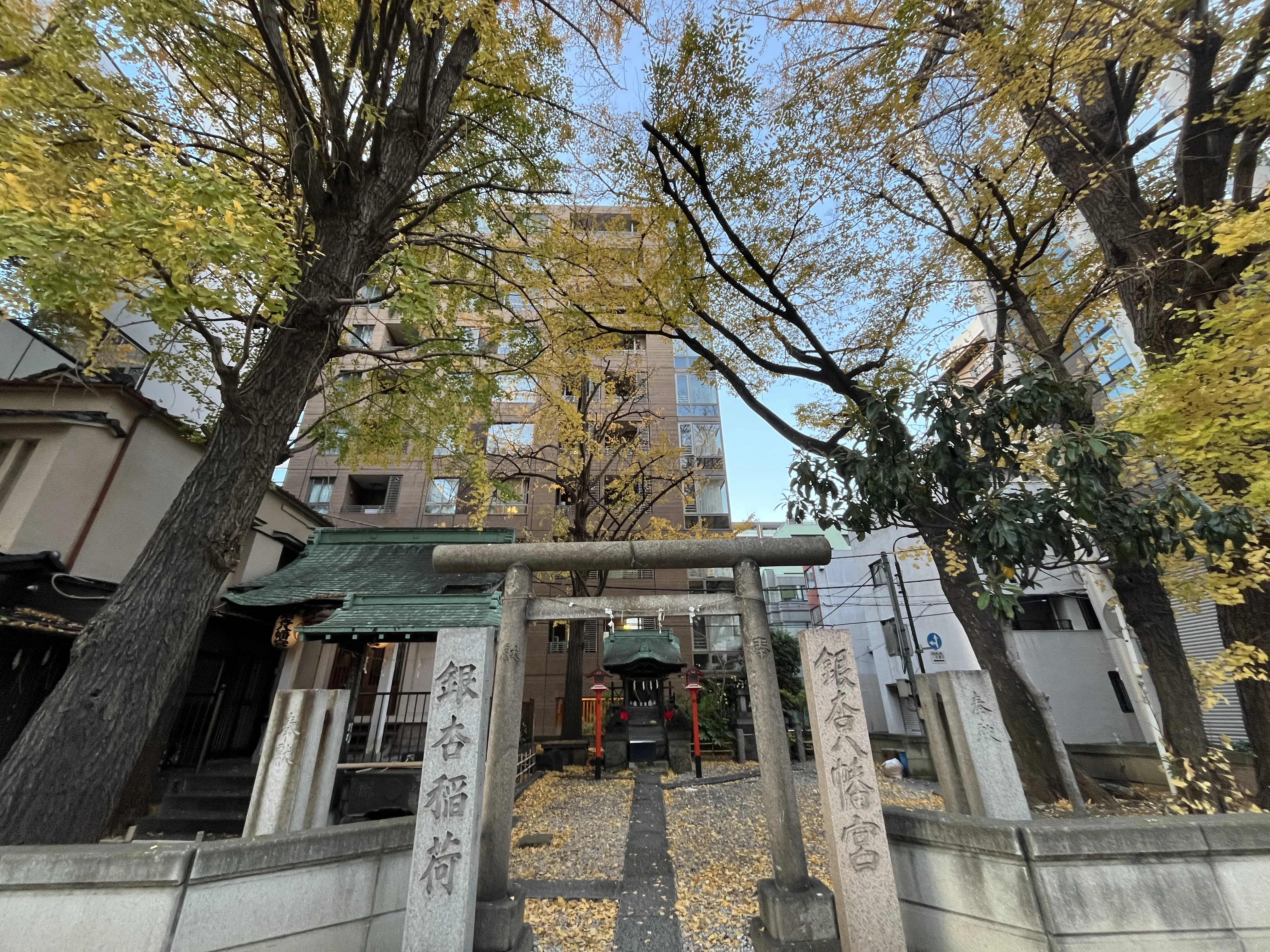 Ichou Inari Shrine surrounded by ginkgo trees