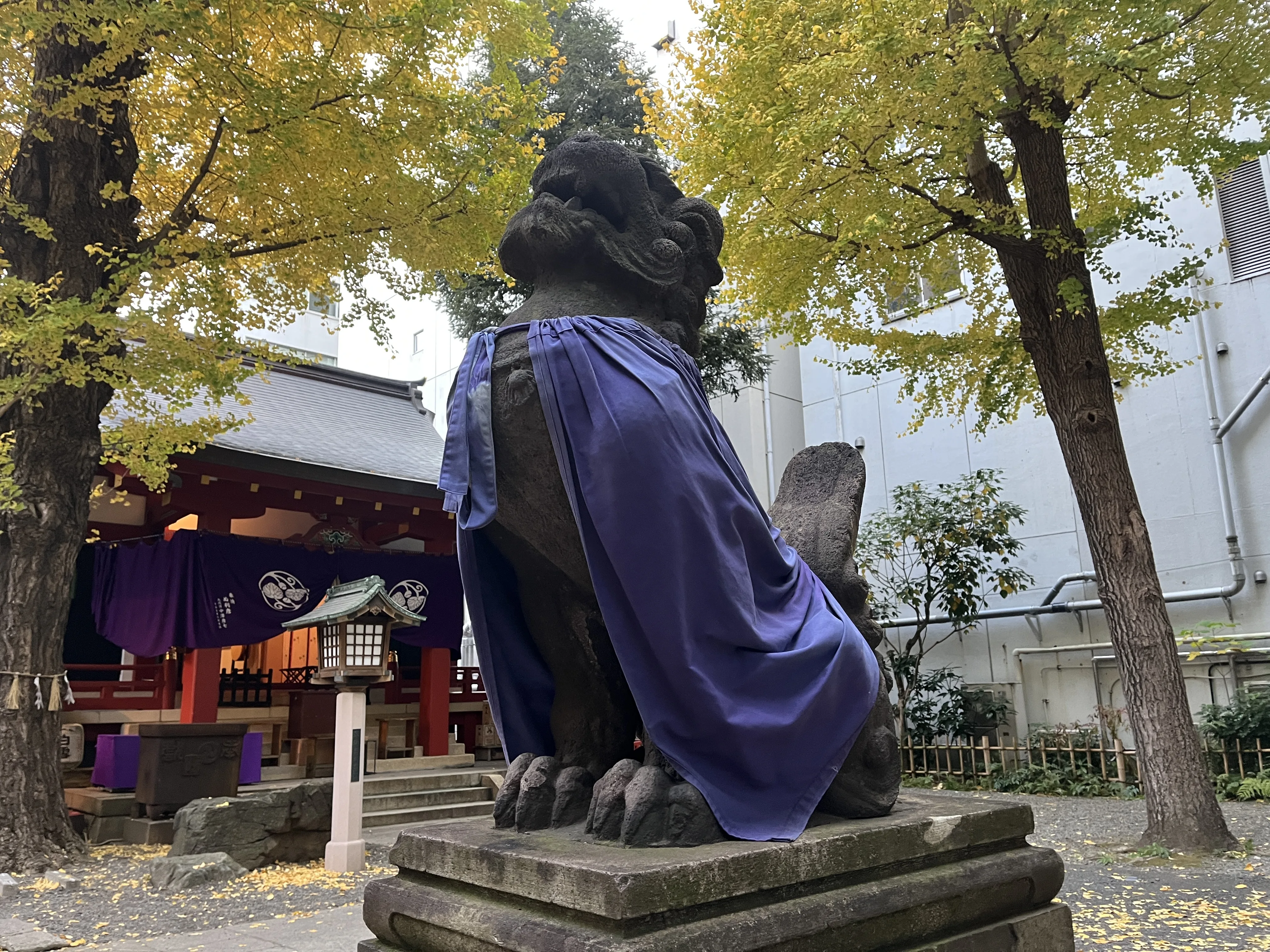 Komainu guardian dog looking upward