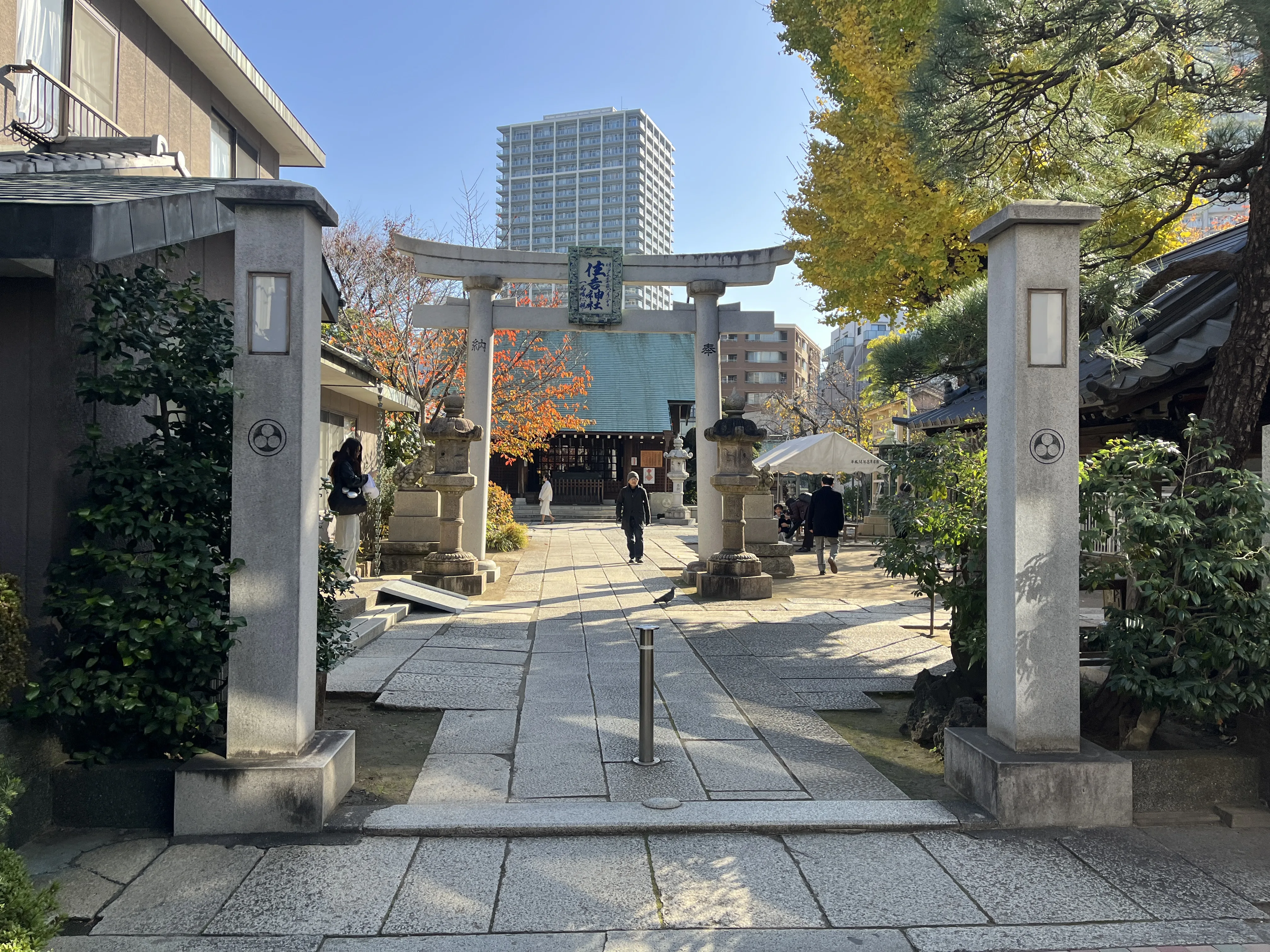 Beautiful Sumiyoshi Shrine in full view