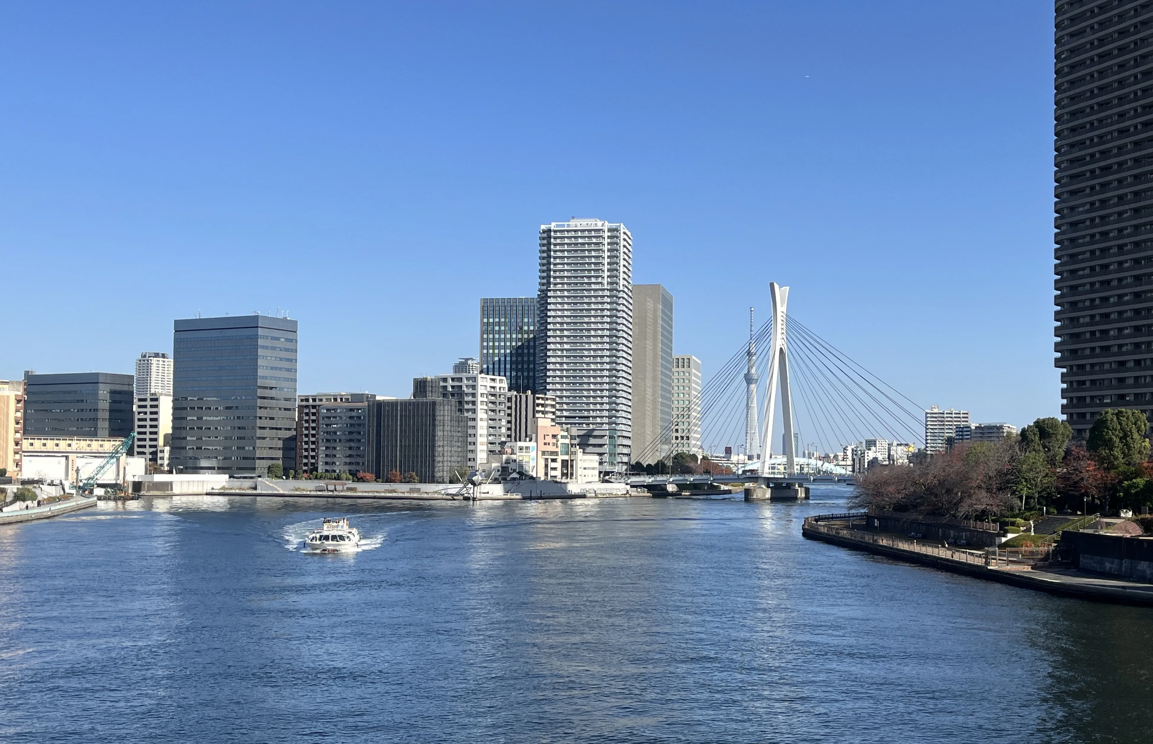 Things to Do Near Tsukiji Fish Market: A Scenic 45-Minute Walk to Tsukishima