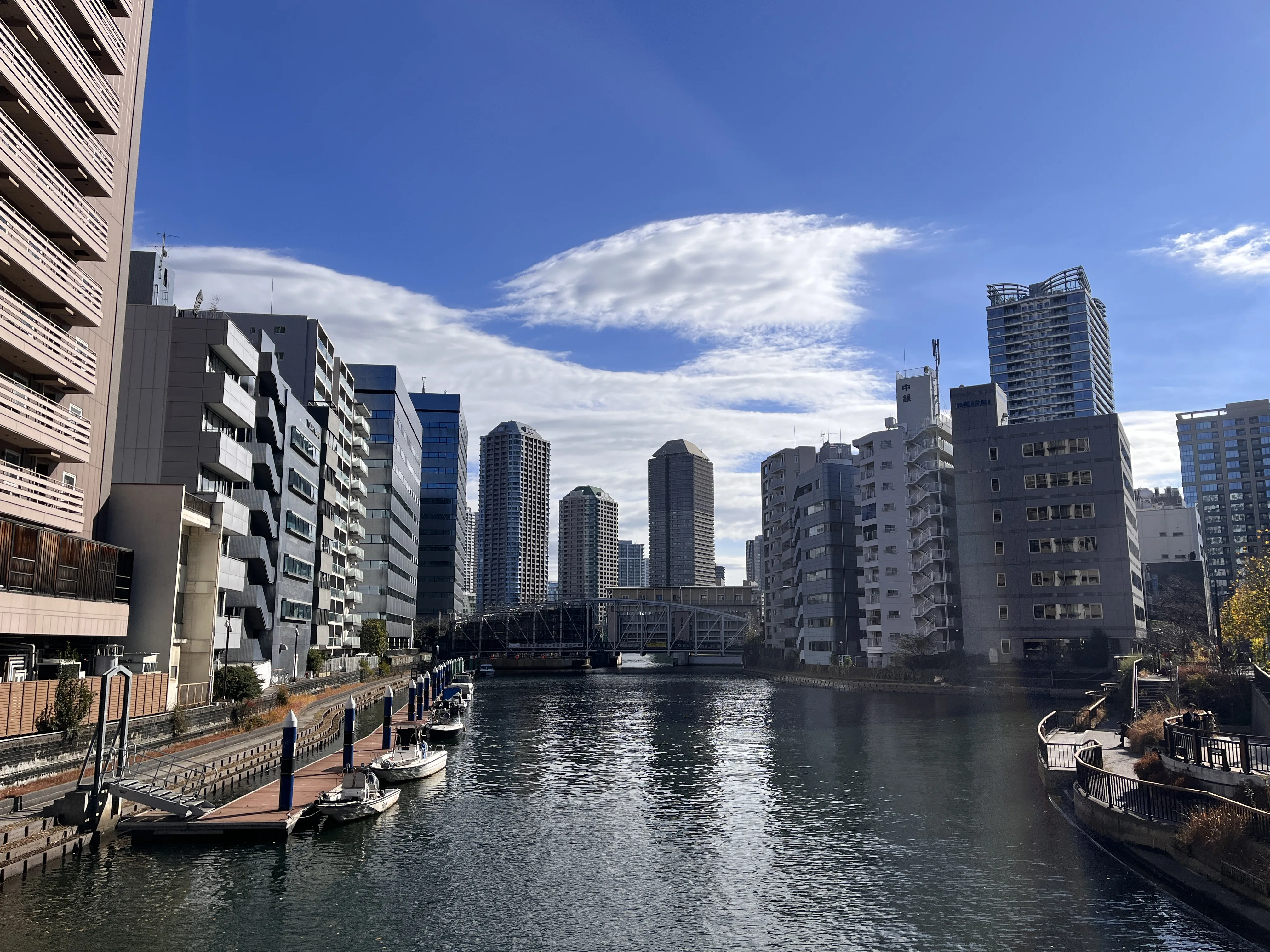 Horizonte de Tokio desde el Puente Takahashi — Belleza urbana en su máxima expresión