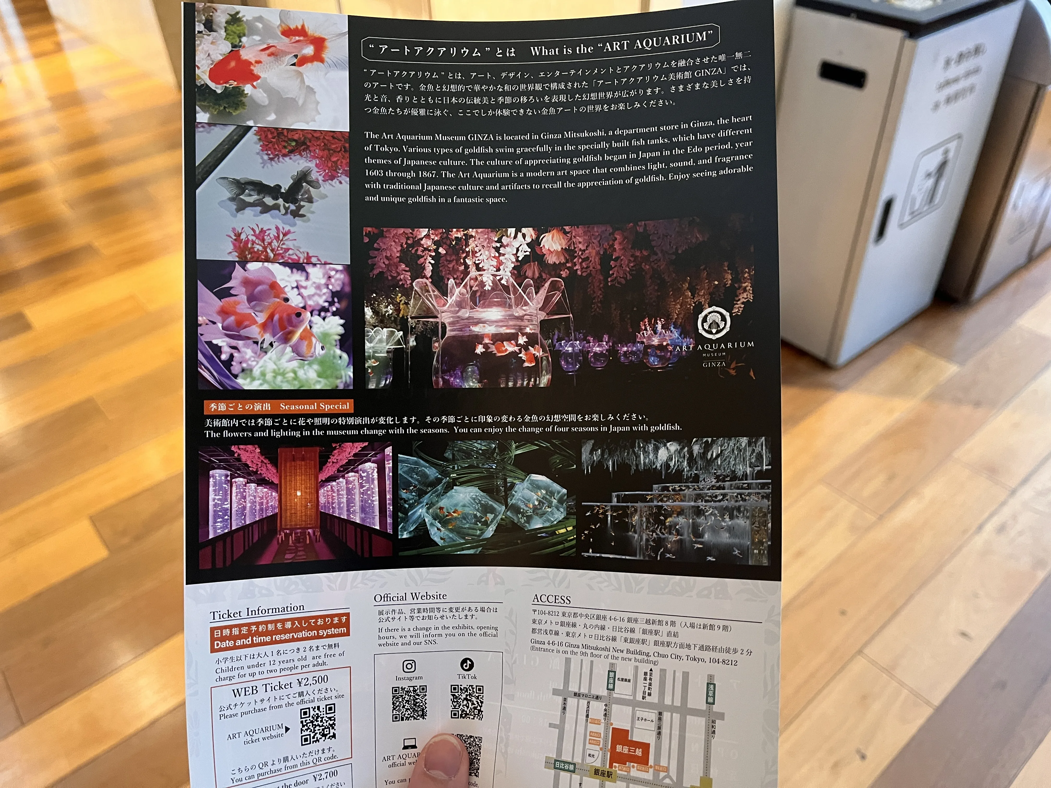 Art Aquarium flyer back