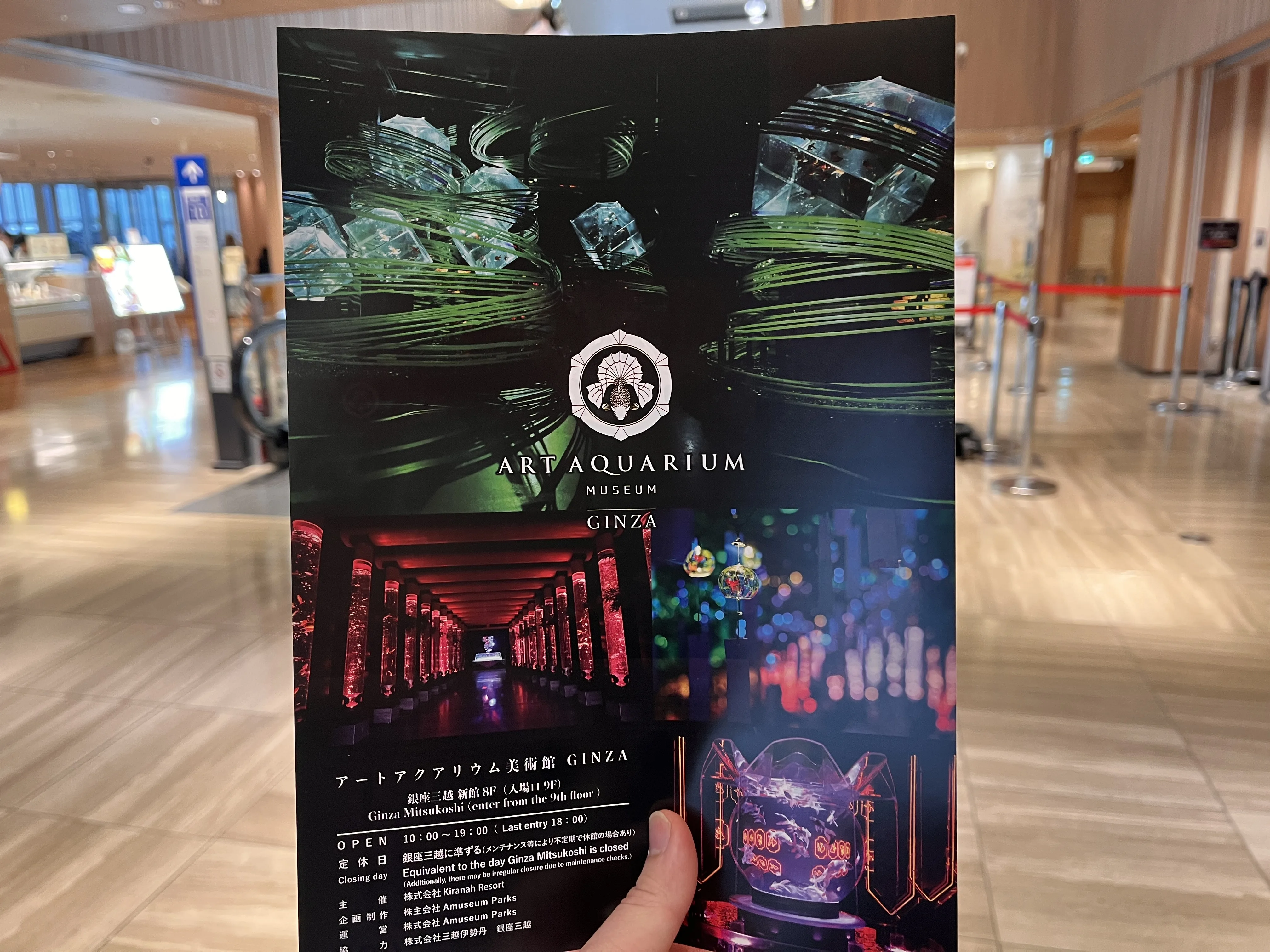 Art Aquarium flyer front