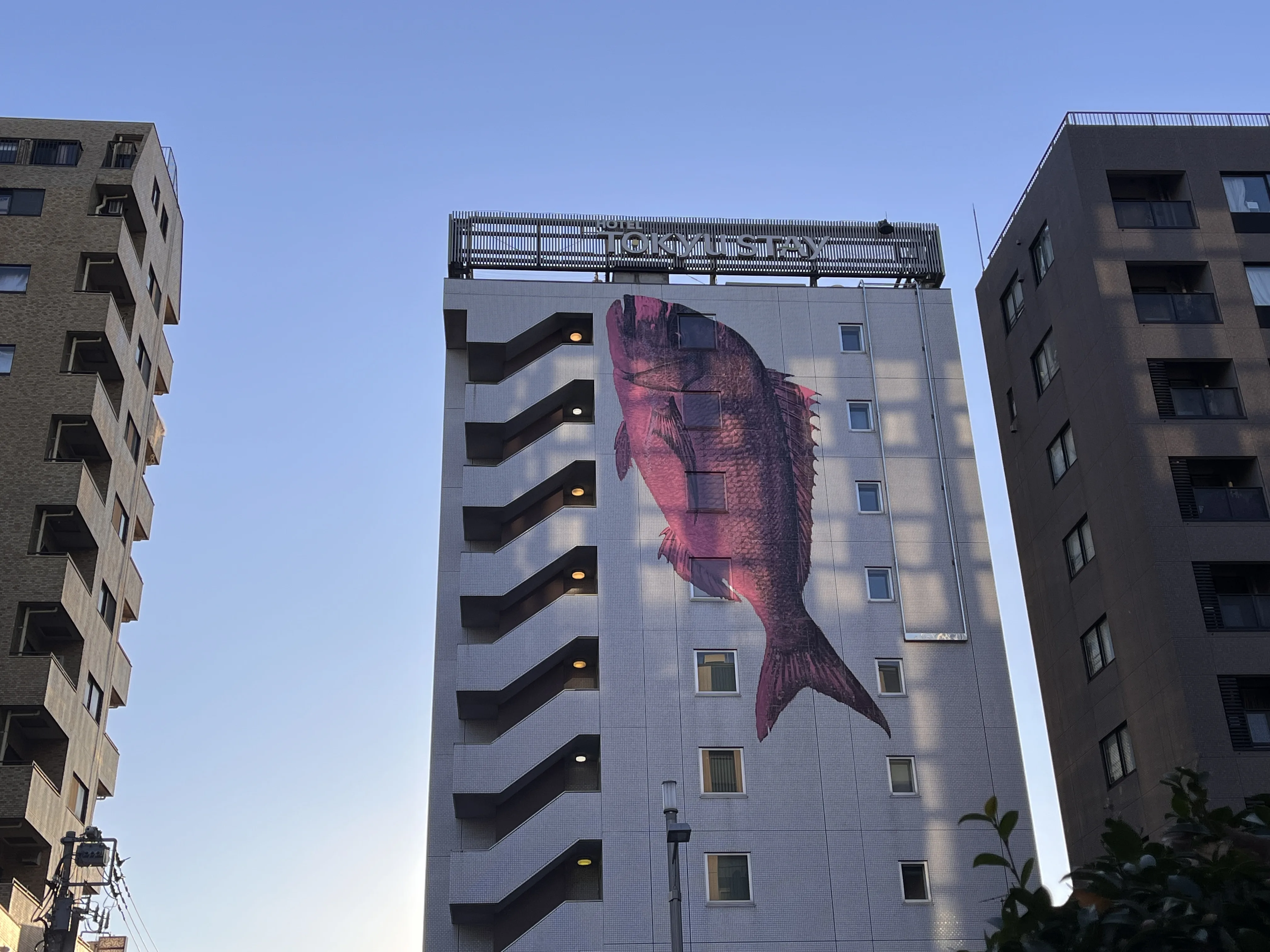 Building with tai fish painting